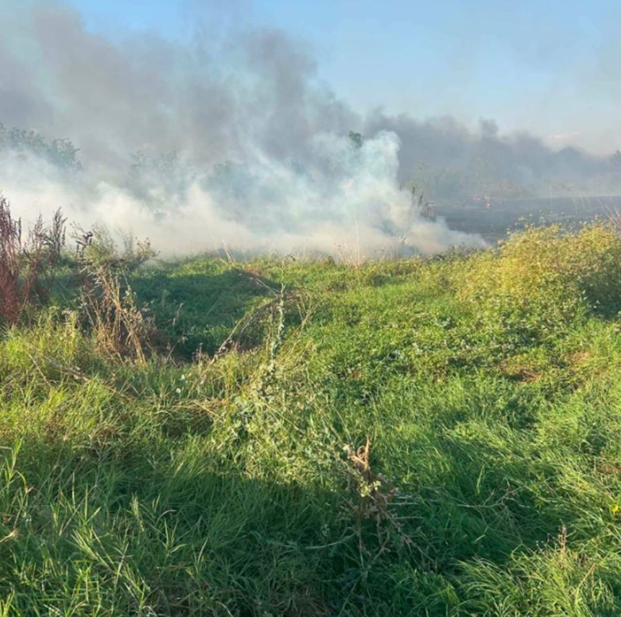 Μεγάλη πυρκαγιά άγγιξε σπίτια στη Μαραθέα Καρδίτσας το απόγευμα της Τρίτης (30/6)