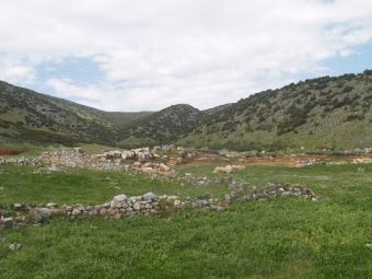 Δημητριακά, όσπρια, φρούτα, άγριους καρπούς και χόρτα στο νεολιθικό διαιτολόγιο στην περιοχή των Τρικάλων