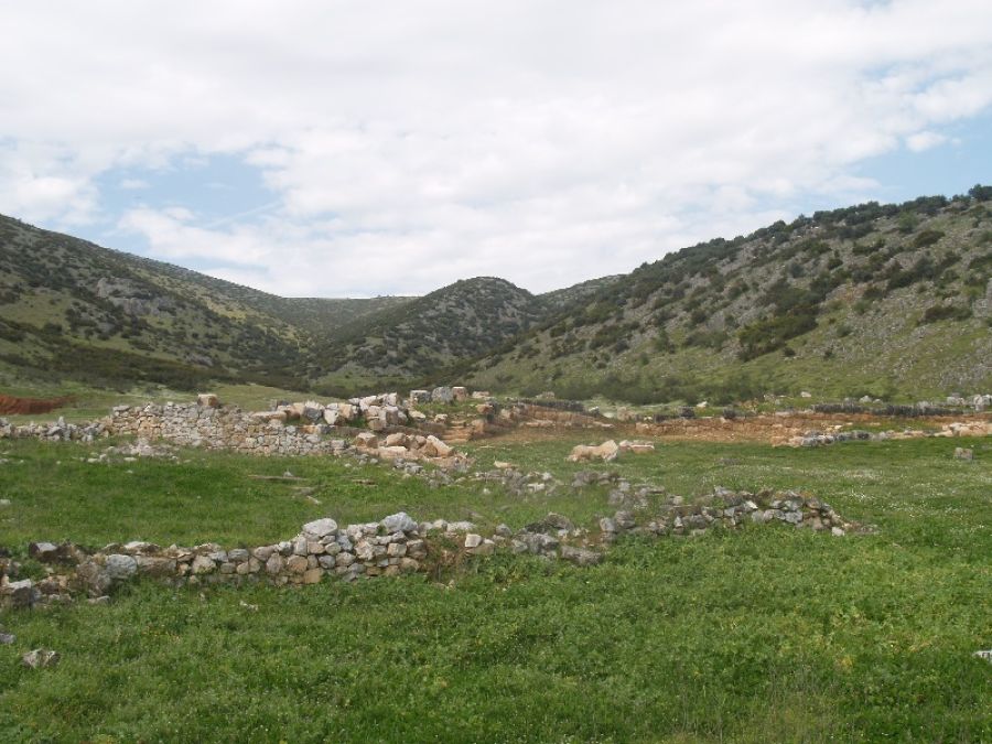Δημητριακά, όσπρια, φρούτα, άγριους καρπούς και χόρτα στο νεολιθικό διαιτολόγιο στην περιοχή των Τρικάλων