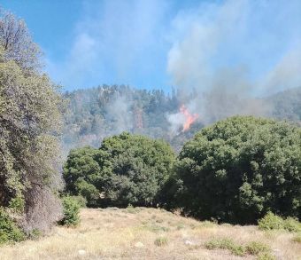 Θα συνεχιστούν και το βράδυ οι προσπάθειες κατάσβεσης της δασικής πυρκαγιάς σε ελατόδασος στο Καταφύλλι Αργιθέας (+Φωτο +Βίντεο)