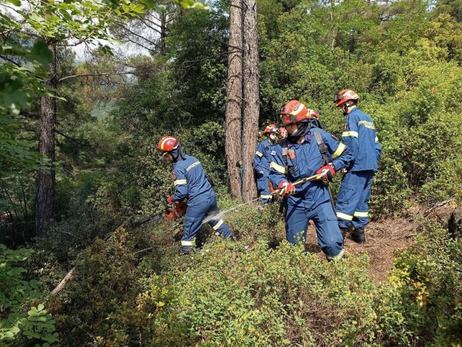 Πραγματοποιήθηκε το πρωί της Δευτέρας (15/5) η άσκηση δασικής πυρκαγιάς στο Μουζάκι (+Φωτο)