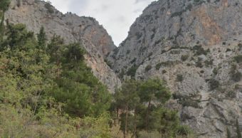 Νεκρή εντοπίστηκε γυναίκα σε χαράδρα στους Δελφούς
