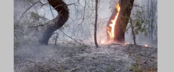 Μεγάλη φωτιά στην Εύβοια από τα ξημερώματα της Τρίτης