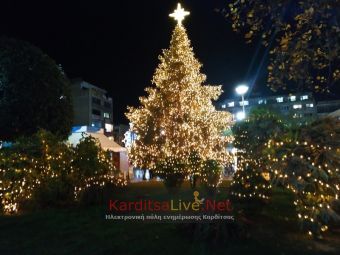 Δωρεά ιδιώτη και φέτος το Χριστουγεννιάτικο Δέντρο της Καρδίτσας