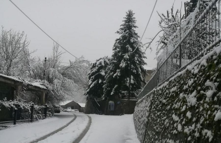 Θέμα αποζημιώσεων για ζημιές από τη διακοπή της ηλεκτροδότησης θέτει ο Πρόεδρος της Νεράϊδας
