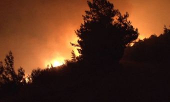 Δύσκολη νύχτα για κατοίκους και πυροσβέστες από μεγάλη φωτιά στην Κάρυστο - Εκκενώθηκαν παραθεριστικές κατοικίες