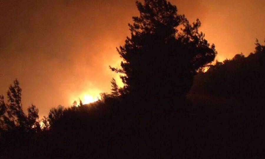 Δύσκολη νύχτα για κατοίκους και πυροσβέστες από μεγάλη φωτιά στην Κάρυστο - Εκκενώθηκαν παραθεριστικές κατοικίες