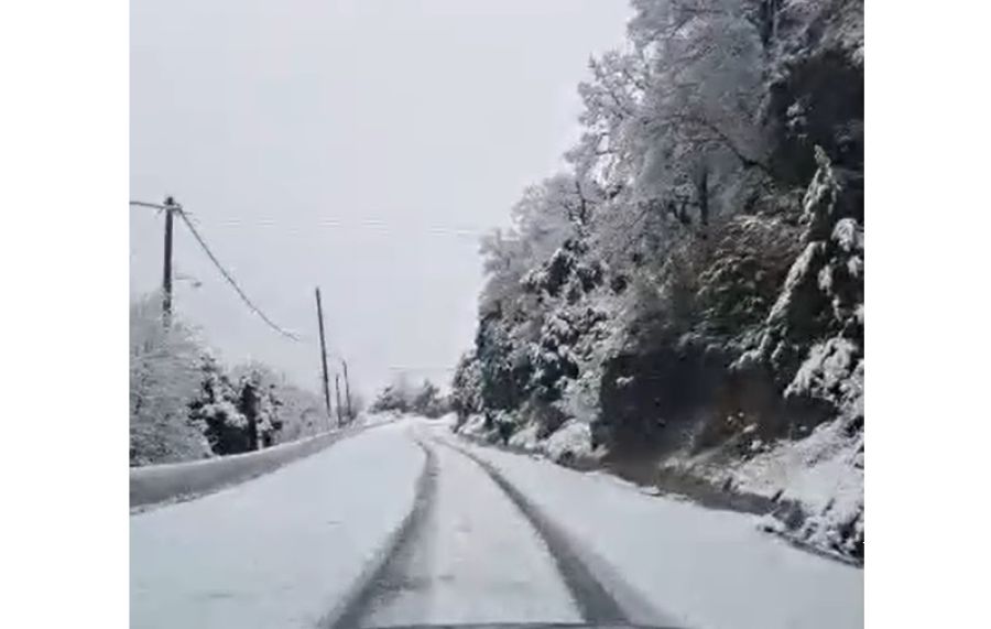 Στα λευκά τα ορεινά της Καρδίτσας το πρωί του Σαββάτου (16/12) - Live Camera από το Μορφοβούνι