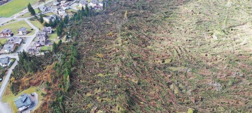 Σκηνές αποκάλυψης στην Ιταλία - 18 νεκροί και 14 εκατομμύρια δέντρα που ξεριζώθηκαν (+Βίντεο)
