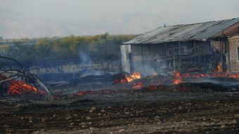«Στάχτες» έγινε βιοτεχνία στην Αμυγδαλέα Λάρισας (+Βίντεο)