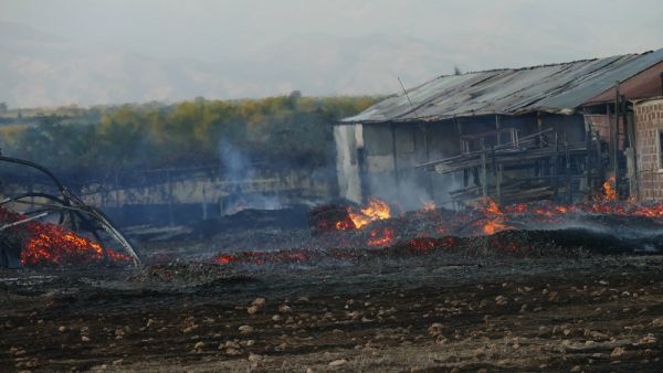 «Στάχτες» έγινε βιοτεχνία στην Αμυγδαλέα Λάρισας (+Βίντεο)