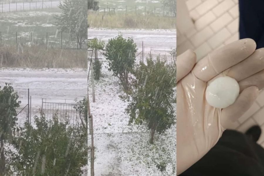 Σφοδρή χαλαζόπτωση στην Πεδινή – Ζημιές σε καλλιέργειες και πανικός σε Πανεπιστήμιο και Νοσοκομείο (+Βίντεο)