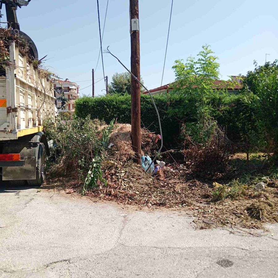 Επισημάνσεις της υπηρεσίας καθαριότητας του Δήμου Καρδίτσας για το πέταμα κλαδεμάτων σε επικίνδυνα σημεία
