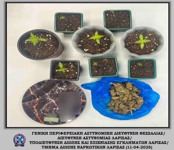 Συνελήφθη άνδρας στη Λάρισα για καλλιέργεια και κατοχή κάνναβης