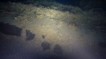 Γαλλικό υποβρύχιο από τον Α' Παγκόσμιο Πόλεμο εντοπίστηκε στον Θερμαϊκό (+Φωτο)