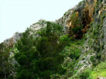 Άνδρας ανασύρθηκε από χαράδρα στο Πήλιο – Μαρτυρίες ότι έμεινε όλο το βράδυ εγκλωβισμένος