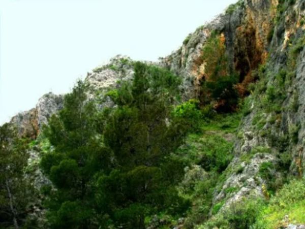 Άνδρας ανασύρθηκε από χαράδρα στο Πήλιο – Μαρτυρίες ότι έμεινε όλο το βράδυ εγκλωβισμένος