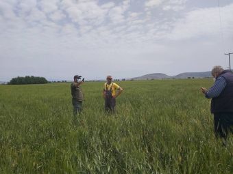 Εκτεταμένες ζημιές σε καλλιέργειες σιτηρών στο Δήμο Σοφάδων διαπίστωσε κλιμάκιο του ΕΛΓΑ