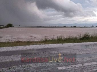 Σφοδρή χαλαζόπτωση στα χωριά των Δήμων Παλαμά και Φαρκαδόνας - Το 'στρωσε κανονικότατα (+Βίντεο)