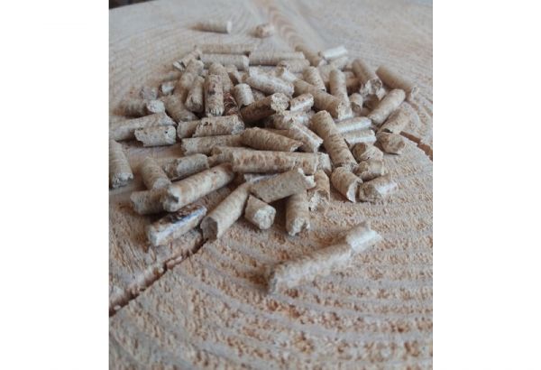 Βασ. Φιλίππου: "Wood pellet: Οικονομική και φιλοπεριβαλλοντική λύση στη θέρμανση"