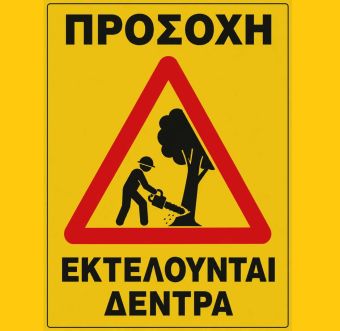 Πρωτοβουλία πολιτών για τη διάσωση του αστικού πρασίνου: Κάλεσμα για τη διάσωση των δέντρων στους πεζόδρομους Χατζημήτρου και Σμύρνης