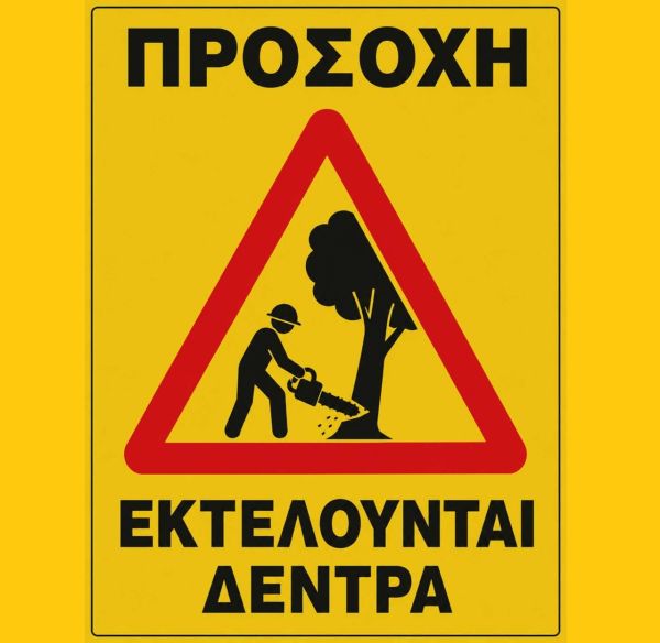 Πρωτοβουλία πολιτών για τη διάσωση του αστικού πρασίνου: Κάλεσμα για τη διάσωση των δέντρων στους πεζόδρομους Χατζημήτρου και Σμύρνης