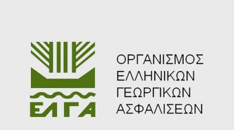 ΕΛΓΑ: Παράταση υποβολής δηλώσεων ζημιάς από την κακοκαιρία "Μήδεια" για την Θεσσαλία