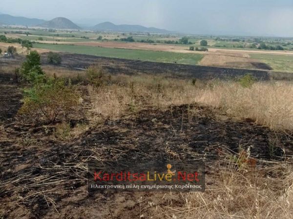 Άμεσα αντιμετωπίσθηκε πυρκαγιά σε χορτολιβαδική έκταση στο Λουτρό Καρδίτσας (+Φώτο)