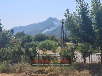 Ελέγχθηκε άμεσα η πυρκαγιά στο δάσος του Μαυρομματίου (+Φώτο)