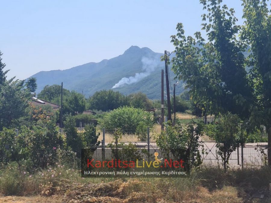 Ελέγχθηκε άμεσα η πυρκαγιά στο δάσος του Μαυρομματίου (+Φώτο)