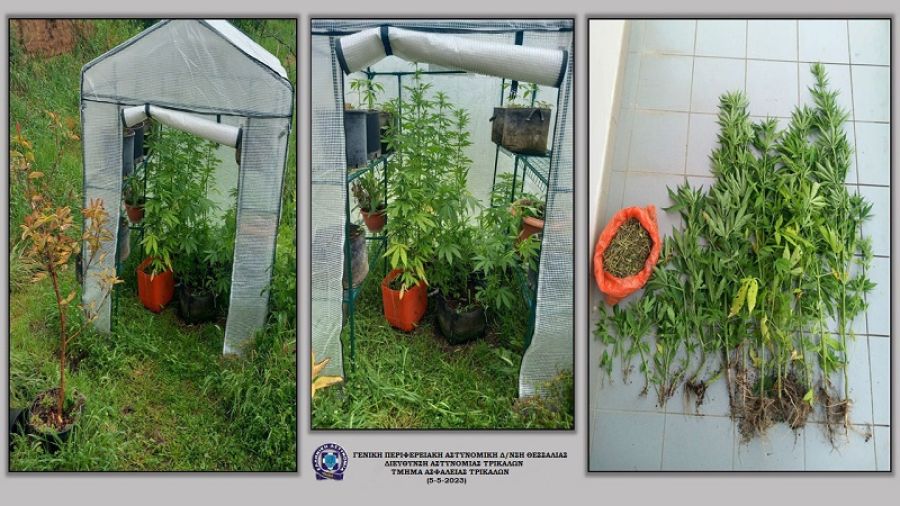 Αστυνομικές επιχειρήσεις στη Θεσσαλία την Πέμπτη (4/5) απέφεραν 11 συλλήψεις και 406 βεβαιωμένες παραβάσεις