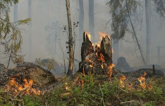 Ενημέρωση για τις δασικές πυρκαγιές σε Αττική, Β. Εύβοια, Ηλεία και Λακωνία το πρωί της Τρίτης (10/8)