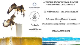 Μαγνησία: Εκδήλωση για τα αρπακτικά πουλιά της λίμνης Κάρλας