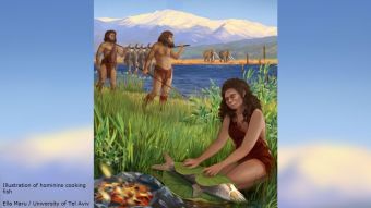 Ψάρι στα κάρβουνα πριν 780.000 χρόνια - Βρέθηκαν στο Ισραήλ οι αρχαιότερες στον κόσμο ενδείξεις μαγειρέματος στη φωτιά