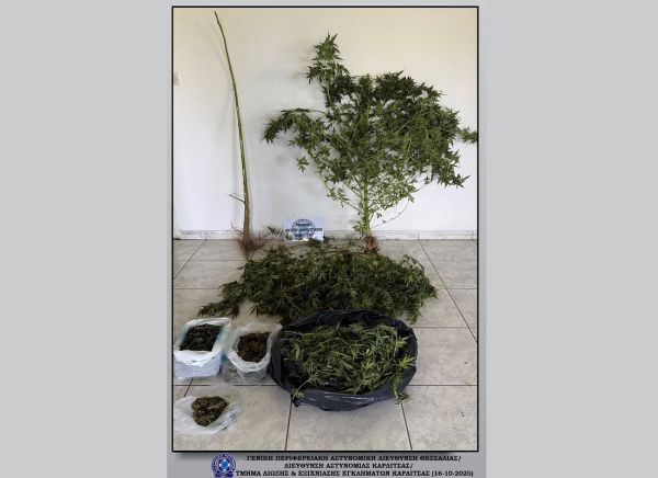 Σύλληψη άνδρα στην ευρύτερη περιοχή του Παλαμά για ποσότητες κάνναβης