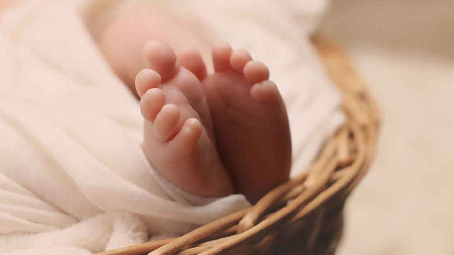 Βρέθηκε εγκαταλελειμμένο νεογέννητο μέσα σε χωράφι στον Ασπρόπυργο