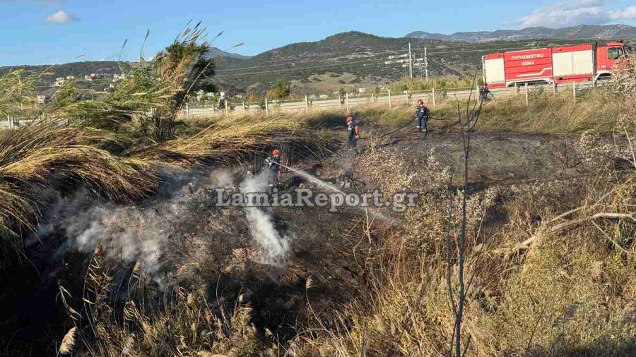 Φθιώτιδα: Πυκνοί καπνοί από πυρκαγιά «έζωσαν» τον Ε65 - Τούμπαρε αυτοκίνητο (+Φωτο +Βίντεο)