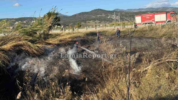 Φθιώτιδα: Πυκνοί καπνοί από πυρκαγιά «έζωσαν» τον Ε65 - Τούμπαρε αυτοκίνητο (+Φωτο +Βίντεο)