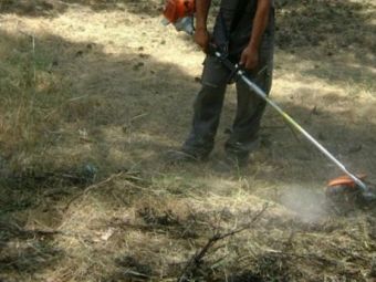 Ενημέρωση Δήμου Σοφάδων για τον καθαρισμό οικοπέδων στο πλαίσιο των προληπτικών μέτρων έναντι πυρκαγιάς