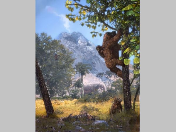 Έρευνα αναδεικνύει ότι οι πίθηκοι στάθηκαν όρθιοι για να πιάσουν φύλλα πριν από 21 εκατομμύρια χρόνια