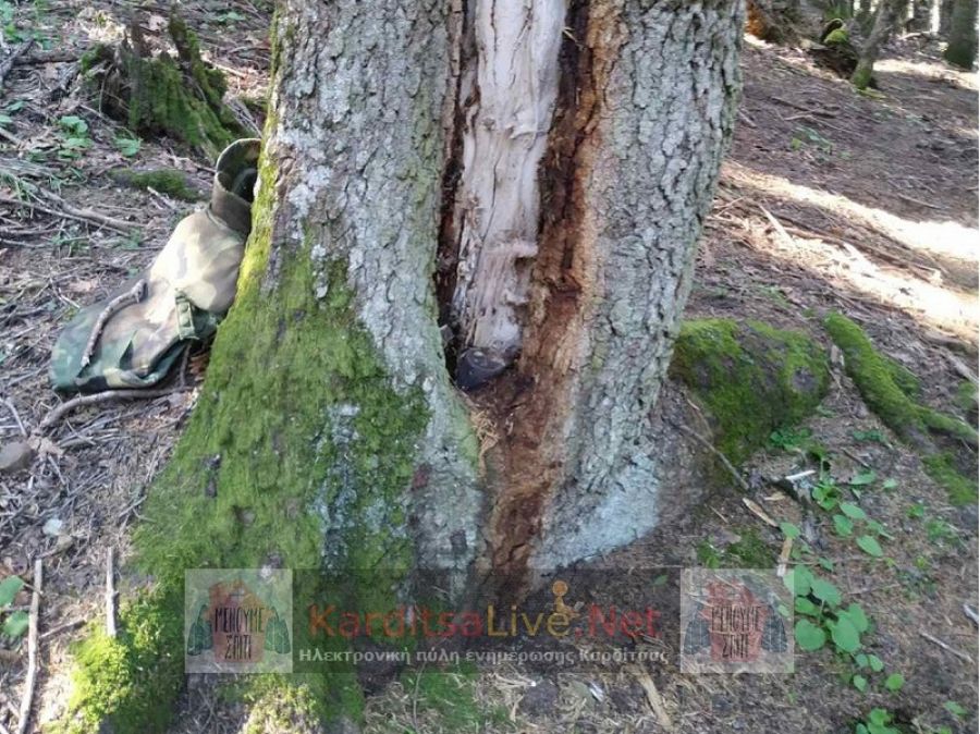 Οβίδα του Β’ Παγκοσμίου Πολέμου «αγκαλιάστηκε» από δέντρο στο Νεοχώρι Καρδίτσας (+Φώτο)