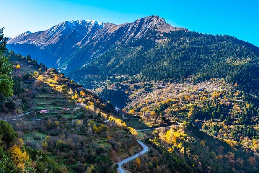 Έργο βελτίωσης της πρόσβασης σε αγροτικές και κτηνοτροφικές μονάδες ύψους 500.000 ευρώ διεκδικεί ο Δήμος Αργιθέας