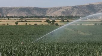 Συναγερμός για τα υδατικά αποθέματα της Θεσσαλίας – Οι κίνδυνοι από την υπεράντληση