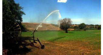 Δήμος Μουζακίου: Έως 15 Ιουλίου οι δηλώσεις ζημιών καλλιεργειών στον ΕΛΓΑ από τον καύσωνα