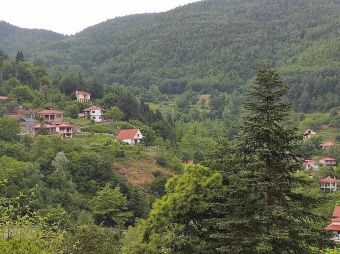 10 προσφορές για αποκαταστάσεις ζημιών δικτύων - υποδομών Νεοχωρίου, Πεζούλας, Φυλακτής - Προς αιτιολόγηση η μεγαλύτερη