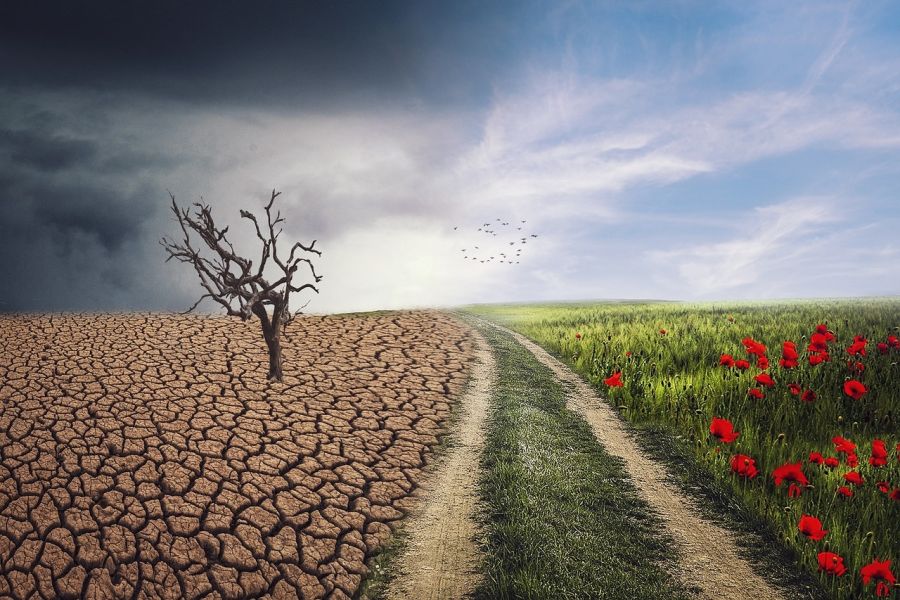 Τουλάχιστον 27 εκατομμύρια παιδιά σε 12 χώρες βίωσαν οξεία επισιτιστική ανασφάλεια λόγω της κλιματικής αλλαγής το 2022
