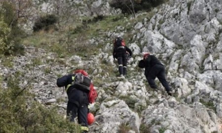 Θεσπρωτία: 88χρονη έπεσε σε γκρεμό και έχασε τη ζωή της