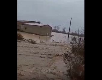 Δεύτερη φορά σε 16 μήνες πλημμύρισε κτηνοτροφική μονάδα στη Μαγουλίτσα (+Βίντεο)