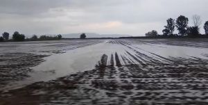 ΕΛΓΑ: Έως 15 Ιουνίου οι δηλώσεις ζημιάς από τις βροχοπτώσεις σε καλλιέργειες της Δ.Κ. Καρδίτσας