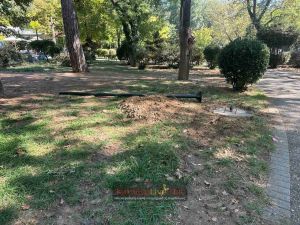 Εργασίες βελτίωσης του φωτισμού στους φανοστάτες του Παυσιλύπου (+Φωτο +Βίντεο)
